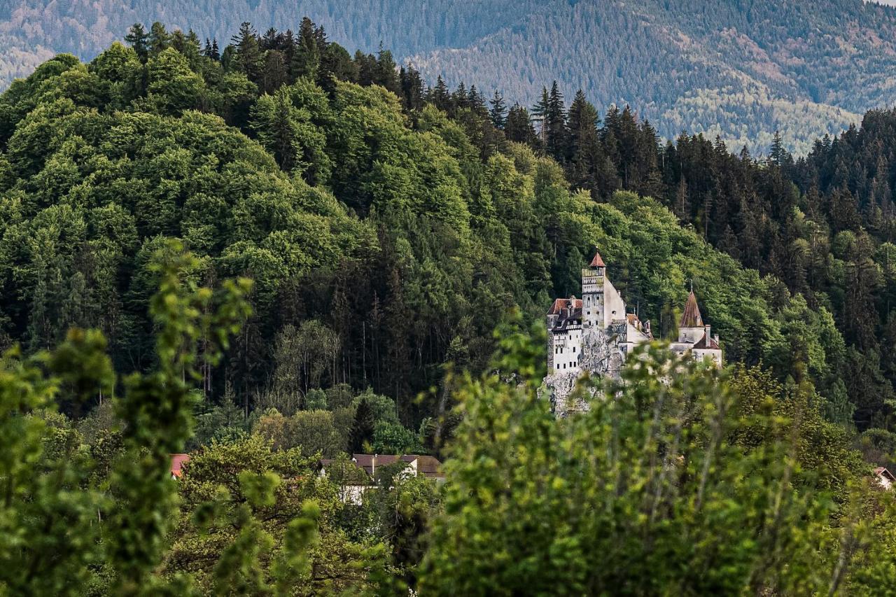 Pensiunea Muntele Rece Bran  Zewnętrze zdjęcie